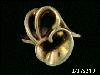 Click to see more information about this 'Ladies Freeform Fashion Rings' item.