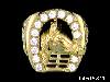 Click to see more information about this 'Horse Heads and Horse Shoes for Ladies and Gents' item.