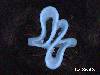Click to see more information about this 'Ladies Freeform Fashion Rings' item.