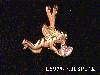 Click to see more information about this 'Cherub and Angel Pendants, Slides, & Pins' item.