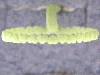 Click to see more information about this 'Thumb Rings' item.