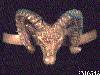 Click to see more information about this 'Animal Jewelry for Ladies and Gents' item.