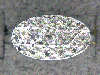 Click to see more information about this 'Ladies Antique Rings' item.