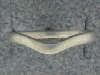 Click to see more information about this 'Thumb Rings' item.