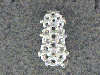 Click to see more information about this 'top100' item.