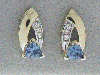 Click to see more information about this 'top100' item.