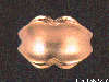Click to see more information about this 'Cigar Bands' item.