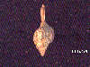 Click to see more information about this 'Nautical Jewelry' item.