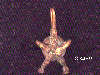 Click to see more information about this 'Nautical Jewelry' item.