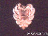 Click to see more information about this 'Bracelet Slides' item.