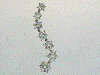 Click to see more information about this 'Journey Jewelry Collection' item.