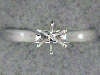 Click to see more information about this 'FSH SHANKS' item.